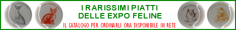 I rarissimi piatti delle Expo